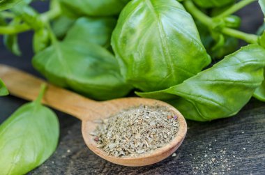 baharat, taze yeşil ve kuru zemin fesleğen