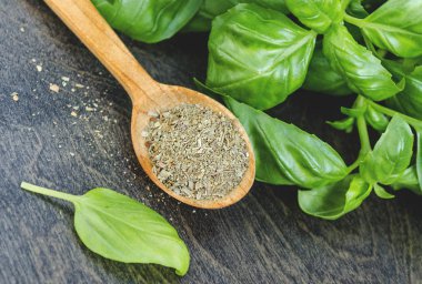 baharat, taze yeşil ve kuru zemin fesleğen