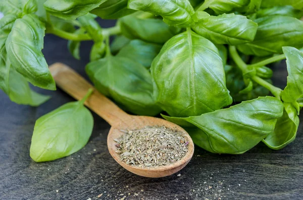 baharat, taze yeşil ve kuru zemin fesleğen