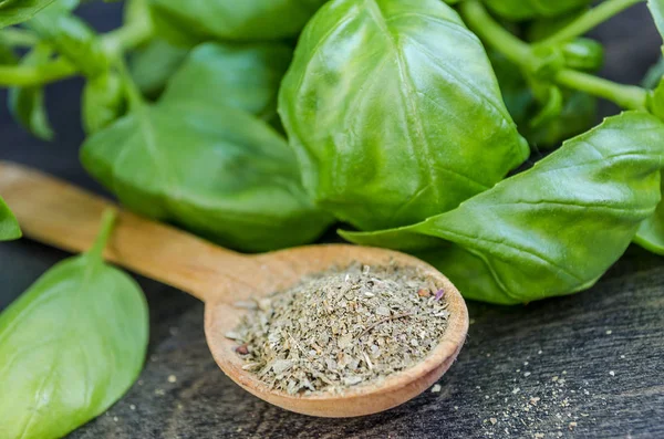 spices, fresh green and dry ground basil