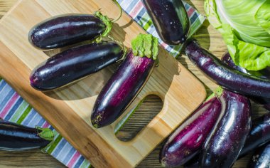 bir kara tahta üzerinde taze mor patlıcan demet