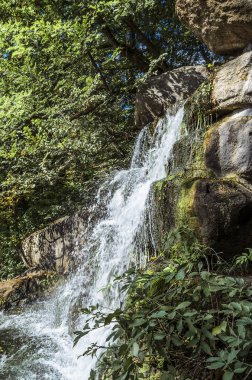 Sonbahar parkta küçük şelale