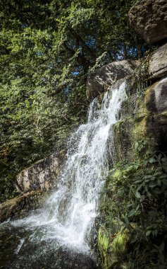 Sonbahar parkta küçük şelale