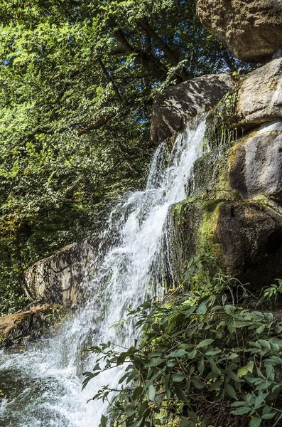 Sonbahar parkta küçük şelale