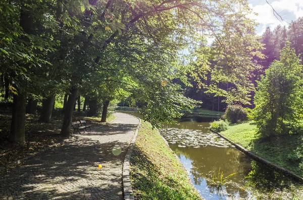 Andscape Lago Parque Com Alea — Fotografia de Stock