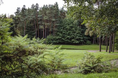 pek çok farklı ağaç ile Botanik Parkı