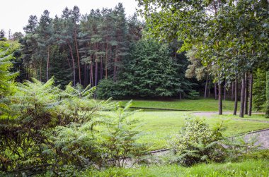 pek çok farklı ağaç ile Botanik Parkı