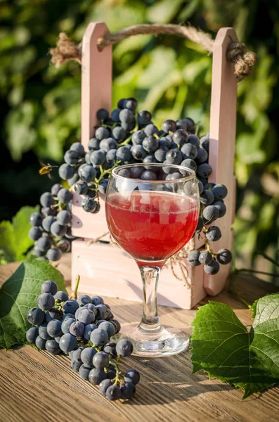 blue grapes and grape juice in a glass