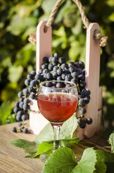 Blue Grapes Grape Juice Glass — Stock Photo, Image