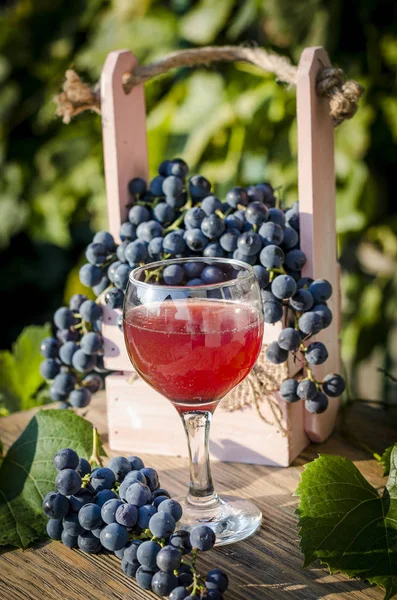 blue grapes and grape juice in a glass