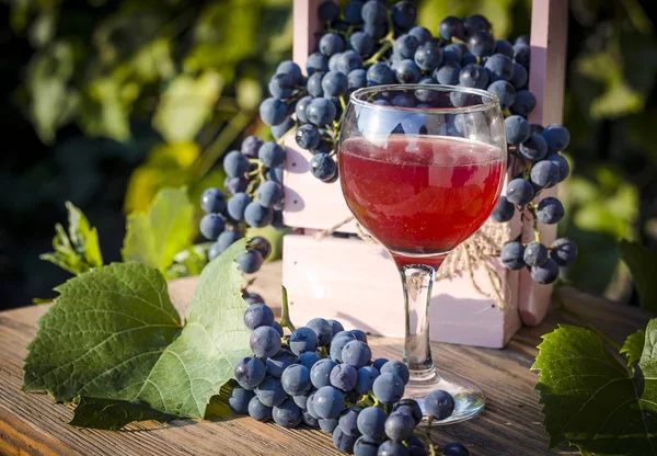 blue grapes and grape juice in a glass