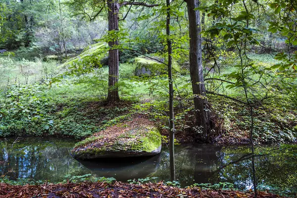 Ручей Водой Осенью Лесу — стоковое фото