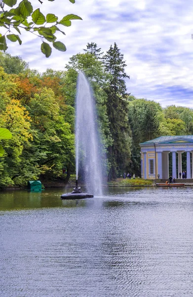 Kút Víz Parkban Egy Kígyó Formájában — Stock Fotó