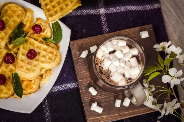 Wafel Dan Coklat Panas Dengan Marshmallow Atas Kotak Kotak — Stok Foto