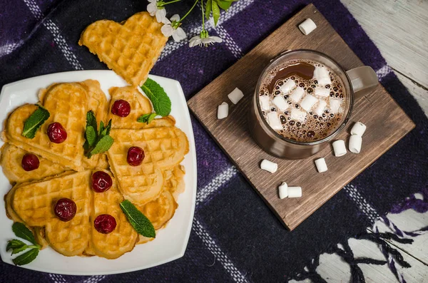 Waffles Hot Chocolate Marshmallows Plaid — Stock Photo, Image