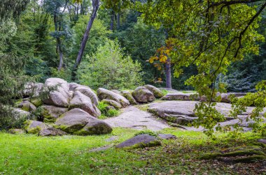 pek çok farklı ağaç ile Botanik Parkı