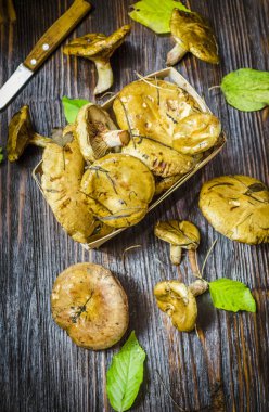 taze hasat ve soyulmamış orman masanın altında mantar