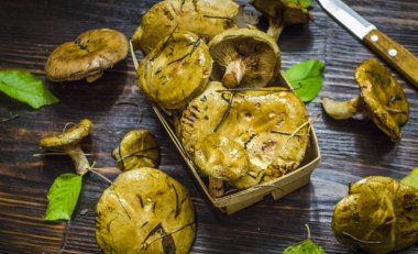 taze hasat ve soyulmamış orman masanın altında mantar