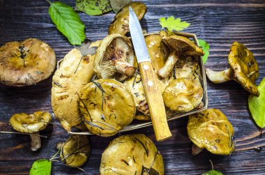 taze hasat ve soyulmamış orman masanın altında mantar