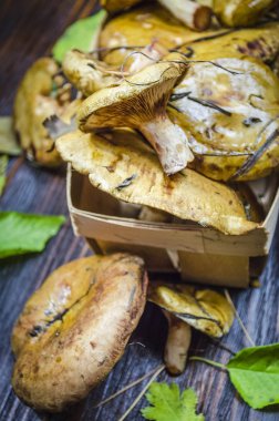 taze hasat ve soyulmamış orman masanın altında mantar