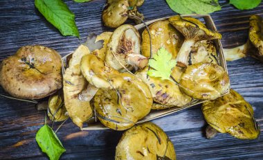 taze hasat ve soyulmamış orman masanın altında mantar