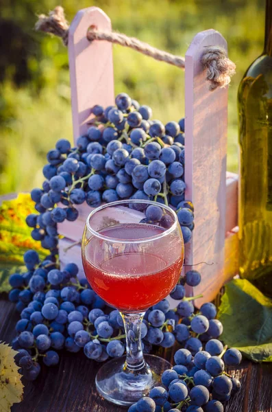 Young Rose Wine Blue Grapes Outdoors Backdrop Nature — Stock Photo, Image