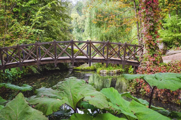 美丽的木桥在一个五彩缤纷的秋天公园的池塘上 — 图库照片