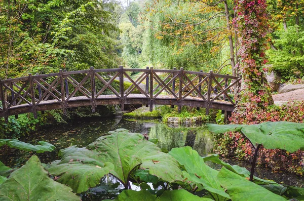 Gyönyörű Híd Felett Egy Színes Őszi Parkban — Stock Fotó