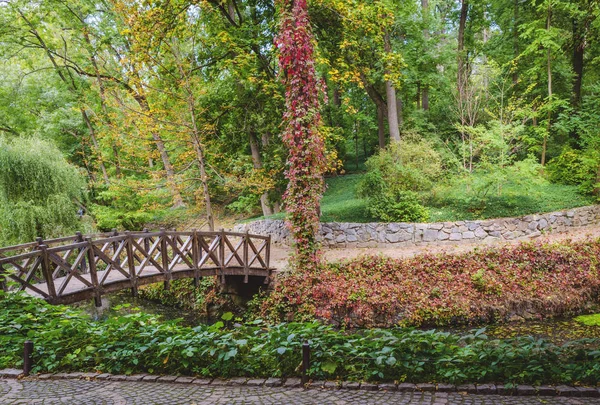 Prachtige Houten Brug Vijver Een Kleurrijk Herfstpark — Stockfoto