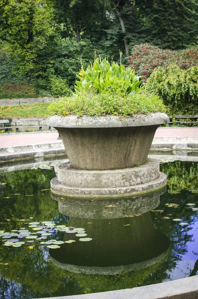 Lago no parque — Fotografia de Stock