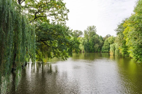 Lago no parque — Fotografia de Stock