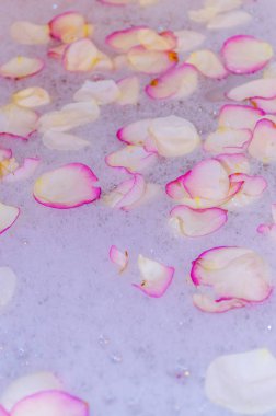 sabunlu suda gül yaprakları