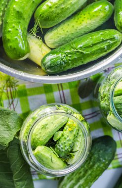 bankalarda salatalık, kış için canning süreci