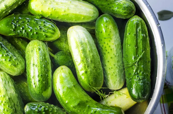 bankalarda salatalık, kış için canning süreci