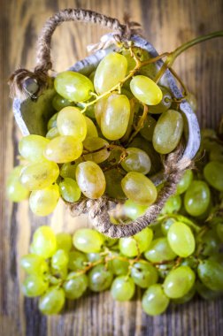 Bir demet yeşil üzüm.