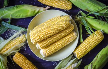 masada kabak mısır