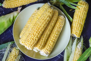 masada kabak mısır