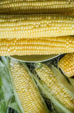 masada kabak mısır