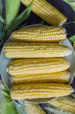 masada kabak mısır