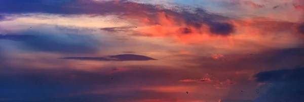Colorful Dramatic Sunset Sky — Stock Photo, Image