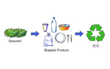 Bioplastic products from seaweed. Seaweed replace plastic packaging. Eco-friendly plastic production clipart
