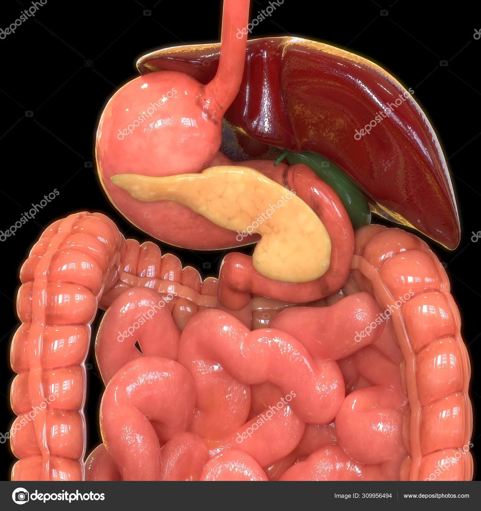 My Image 30