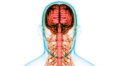 insan beyninin modern dijital illüstrasyon