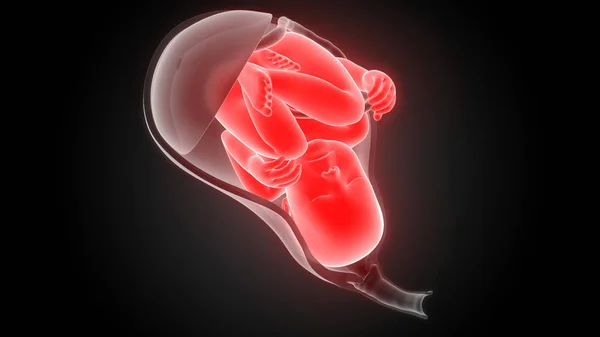 아이를 자궁의 — 스톡 사진