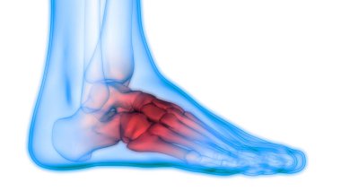 Kemiklerin 3d illüstrasyon, insan organları sistem anatomisi afiş