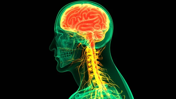 Temporal animation Stock Photos, Royalty Free Temporal animation Images | Depositphotos Temporal animation Stock Photos, Royalty Free Temporal animation Images | Depositphotos