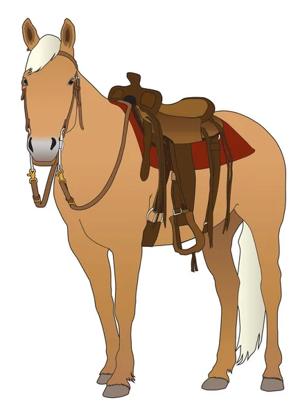 Cavalo Palomino Está Todo Selado Pronto Para Montar —  Vetores de Stock