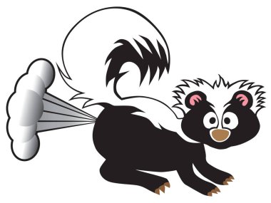 A young skunk has been startled so he is releasing his defensive spray clipart