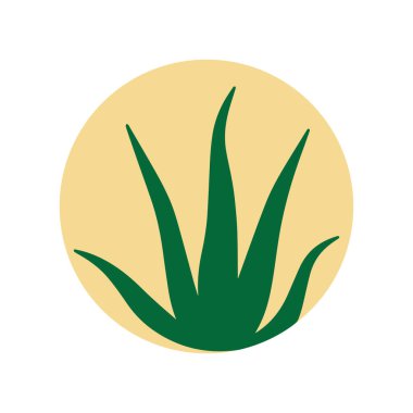 Aloe vera bitki tasarımı doğal sağlık ve organik güzelliği simgeliyor.