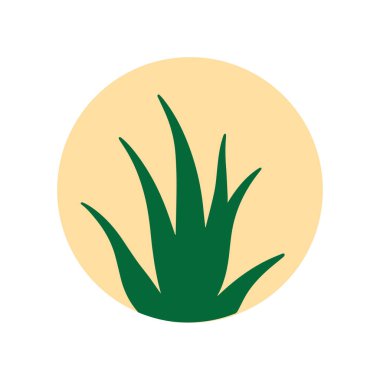 Modern spa ve kozmetik markalar için tasarlanmış minimalist aloe vera silueti